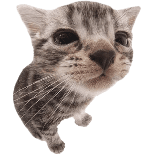 smajloos